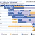 2025 AAP Immunization Schedule
